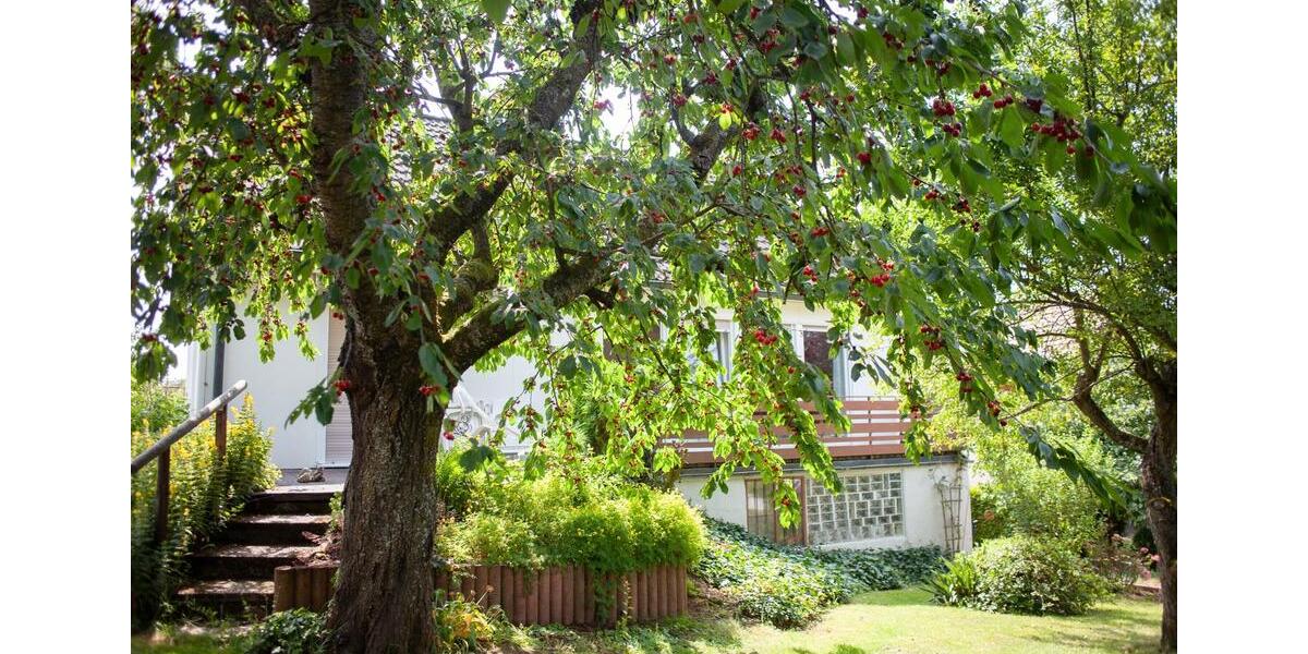 Einfamilienhaus Linsengericht - 7 Zimmer, 153 m&sup2;, 335.000&euro; | Angebot:26246788