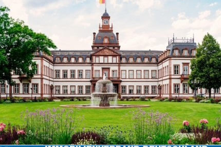 Wohnung Rodenbach - 3 Zimmer, 76 m&sup2;, 750&euro; | Angebot:26352313