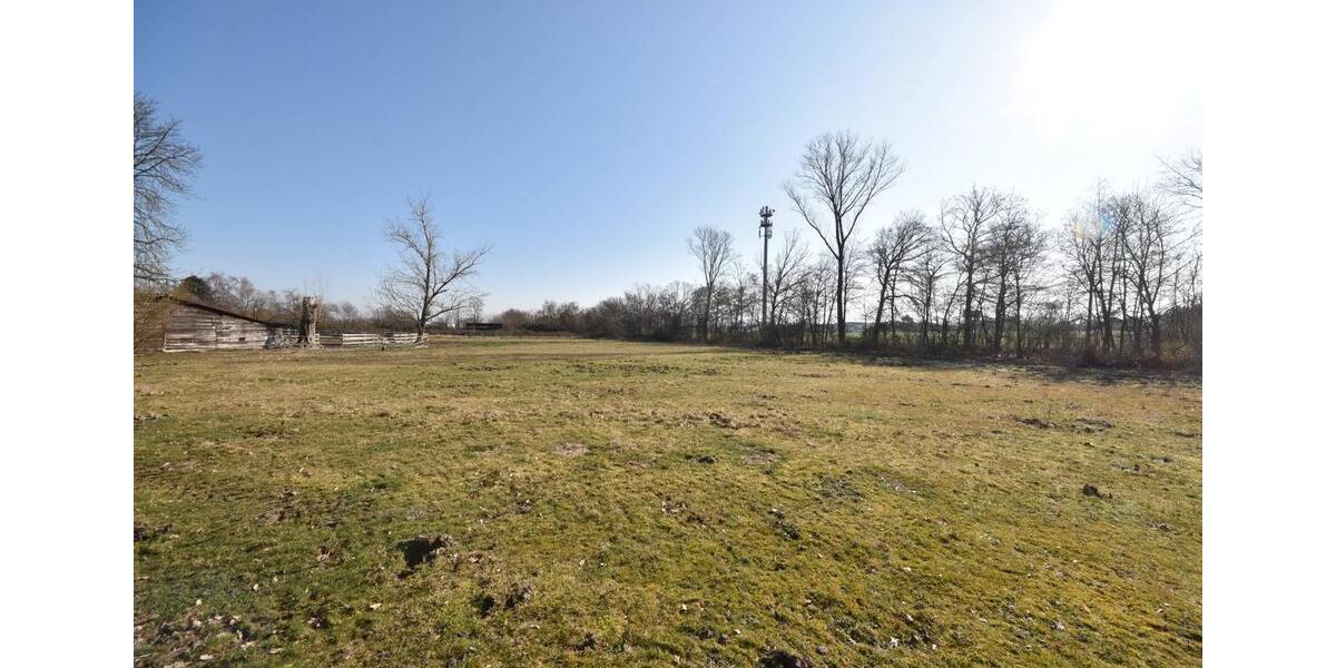 Gewerbeobjekt Seligenstadt - 1.300&euro; | Angebot:25431487