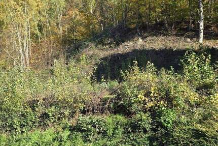 Grundstück Breuberg / Sandbach Sandbach - 119.000&euro; | Angebot:25666418