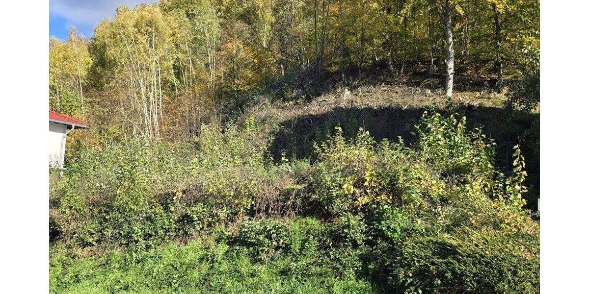 Grundstück Breuberg / Sandbach Sandbach - 119.000&euro; | Angebot:25666418