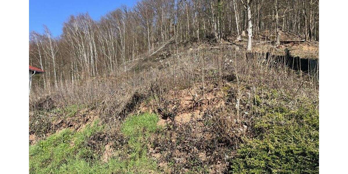 Grundstück Breuberg / Sandbach Sandbach - 119.000&euro; | Angebot:25666418