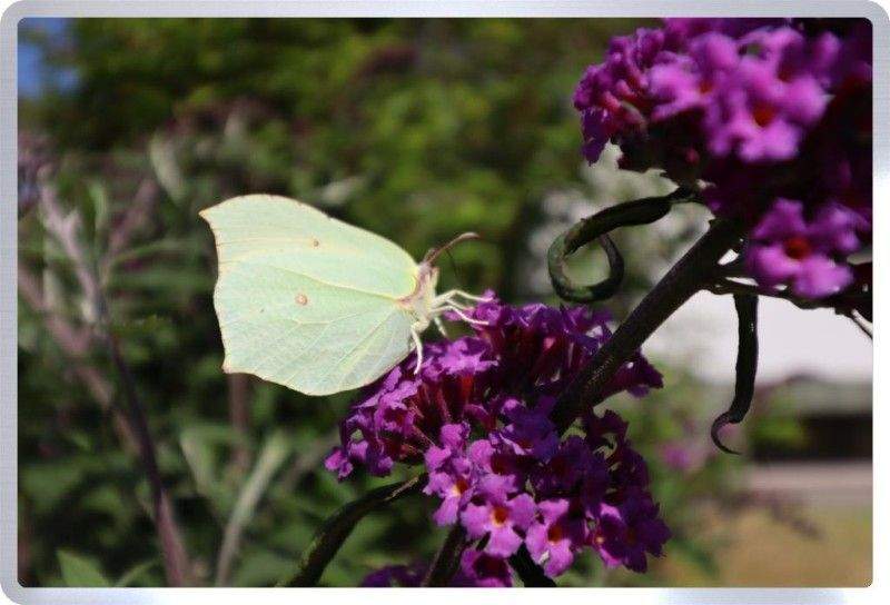 Einfamilienhaus Seligenstadt Froschhausen - 4 Zimmer, 190 m&sup2;, 965.000&euro; | Angebot:25768996