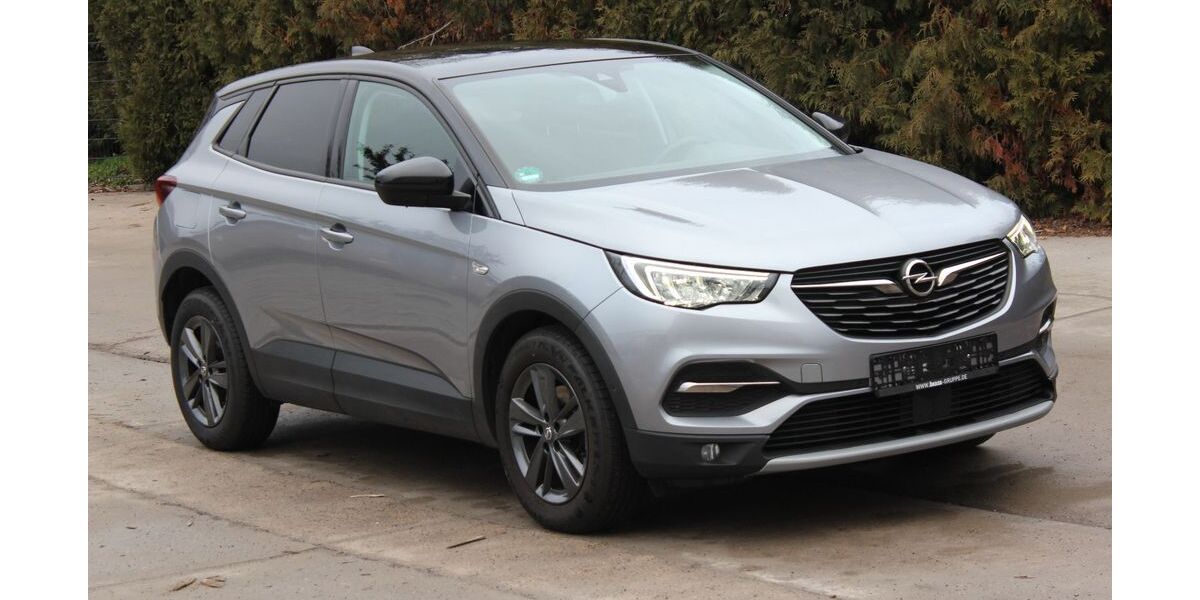 Opel Grandland (X) 121.000 km 11.000 &euro; Erlenbach a. Main 63906