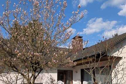 Haus Heusenstamm - 6 Zimmer, 226 m&sup2;, 799.000&euro; | Angebot:25373238