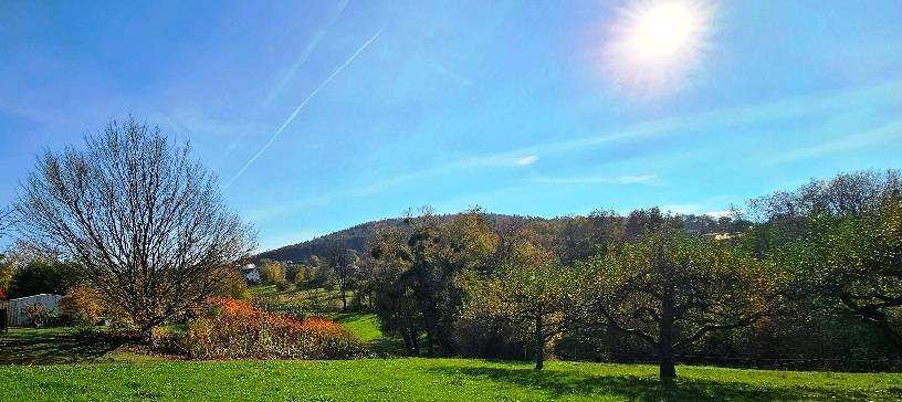 Grundstück Hösbach - 325.000&euro; | Angebot:19205350