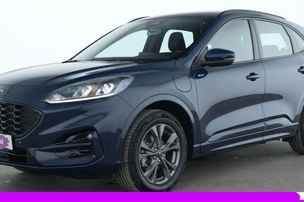 Ford Kuga 66.917 km 18.258 &euro; Dietzenbach bei Frankfurt 63128