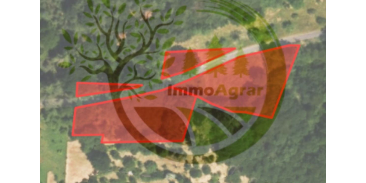 Grundstück soden Soden - 22.125&euro; | Angebot:20996054