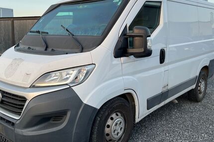 Fiat Ducato 250.000 km 17.500 &euro; Grosswallstadt 63868