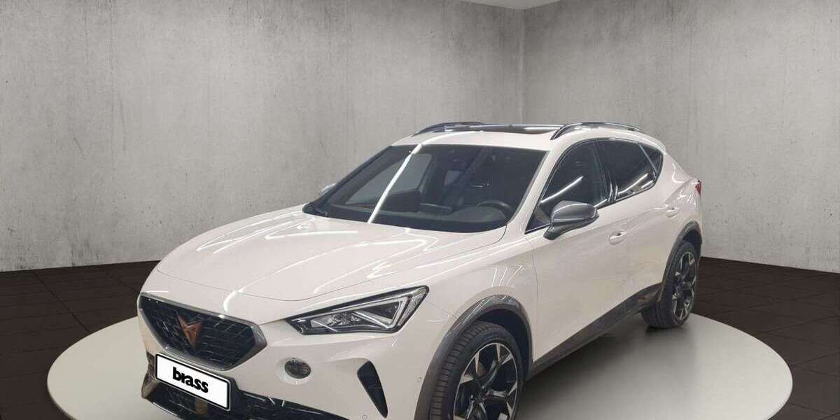 Cupra Formentor 40.900 km 26.450 &euro; Aschaffenburg 63739