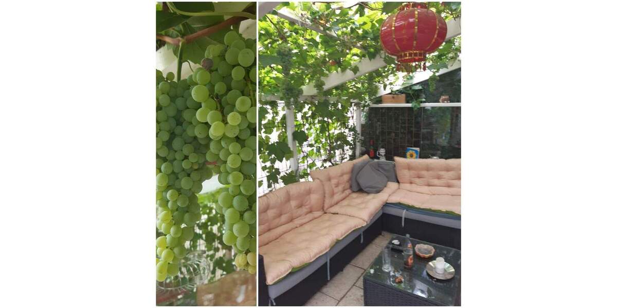 Doppelhaushälfte Leidersbach Roßbach - 4 Zimmer, 160 m&sup2;, 398.750&euro; | Angebot:25681422