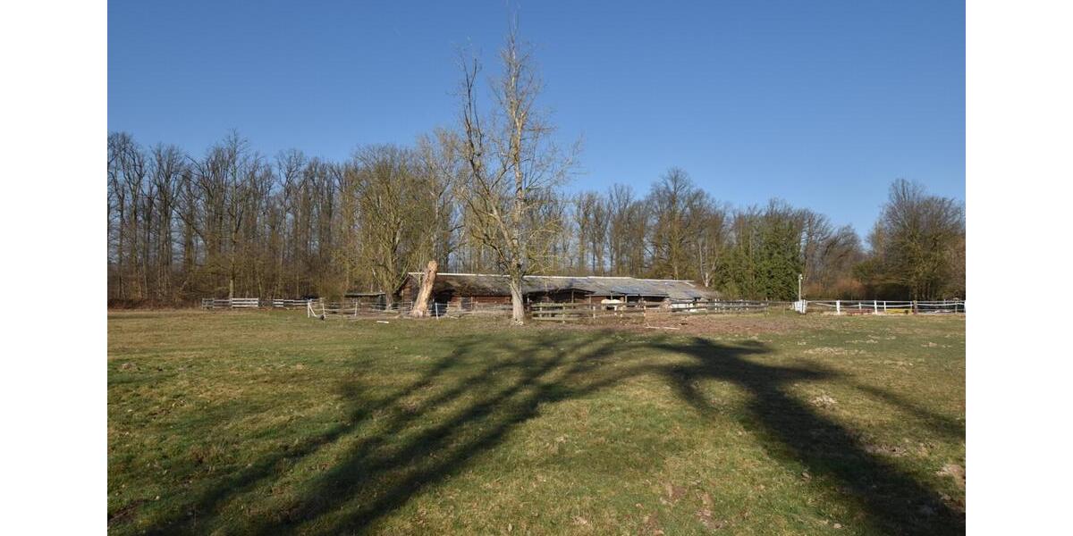 Gewerbeobjekt Seligenstadt - 1.300&euro; | Angebot:25431487