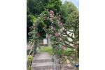 Mehrfamilienhaus, Wohnhaus Aschaffenburg Gailbach - 12 Zimmer, 250 m&sup2;, 695.000&euro; | Angebot:27083670