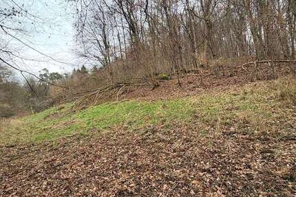 Grundstück Johannesberg-Steinbach Steinbach - 69.000&euro; | Angebot:24416449