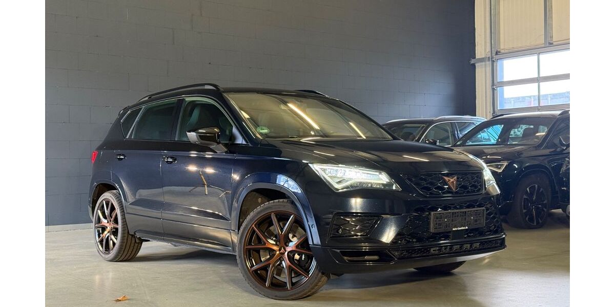 Cupra Ateca 119.500 km 22.890 &euro; Maintal 63477