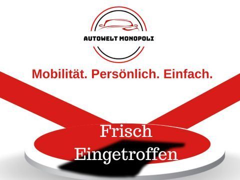 Renault Kangoo 161.100 km 2.980 &euro; Groß-Umstadt 64823
