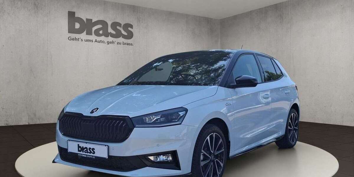 Skoda Fabia 3.000 km 26.450 &euro; Hanau 63452