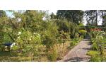 Mehrfamilienhaus, Wohnhaus Obernburg am Main - 11 Zimmer, 760 m&sup2;, 890.000&euro; | Angebot:27096407