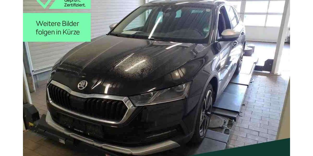 Skoda Octavia 66.600 km 23.449 &euro; Mühlheim a. Main 63165
