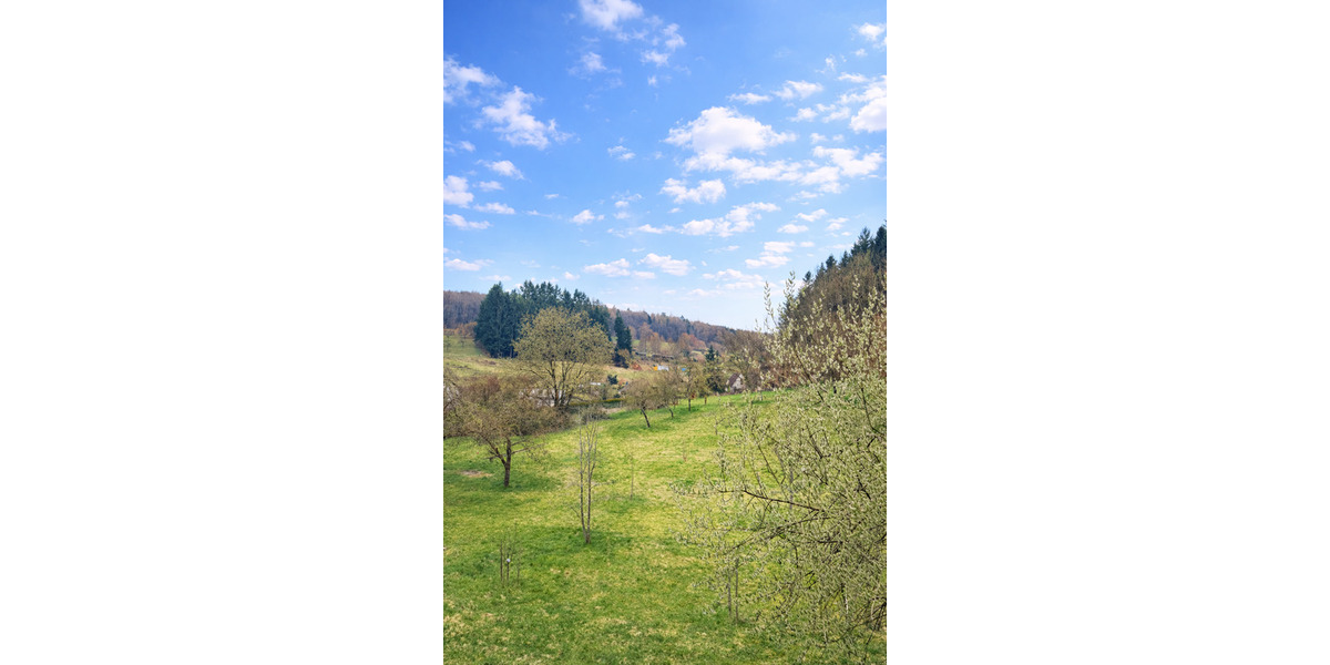 Mehrfamilienhaus, Wohnhaus Flörsbachtal Kempfenbrunn - 9 Zimmer, 249 m&sup2;, 239.000&euro; | Angebot:26306000