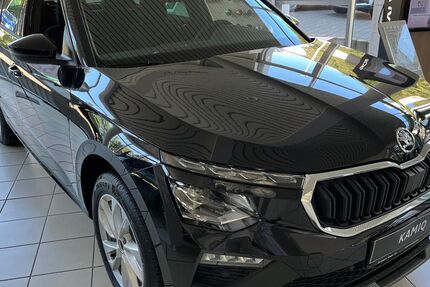 Skoda Kamiq 3.500 km 29.445 &euro; Bad König / Zell 64732