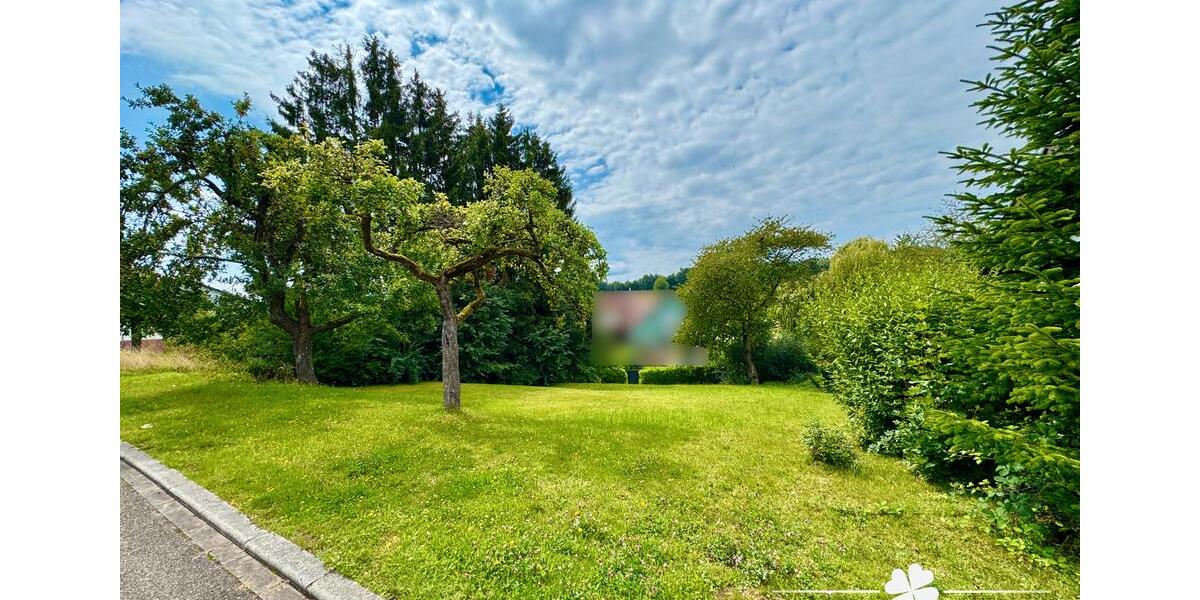 Grundstück Freudenberg - 50.000&euro; | Angebot:22041156