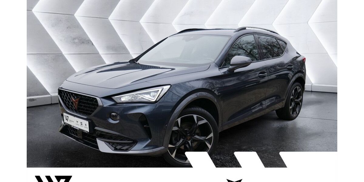 Cupra Formentor 56.271 km 22.394 &euro; Gelnhausen 63571