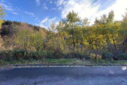 Grundstück Flörsbachtal - 49.000&euro; | Angebot:11601797