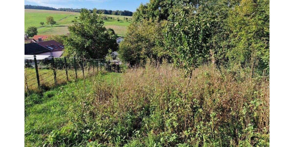 Einfamilienhaus Lützelbach / Breitenbrunn Breitenbrunn - 4 Zimmer, 75 m&sup2;, 210.000&euro; | Angebot:25667642