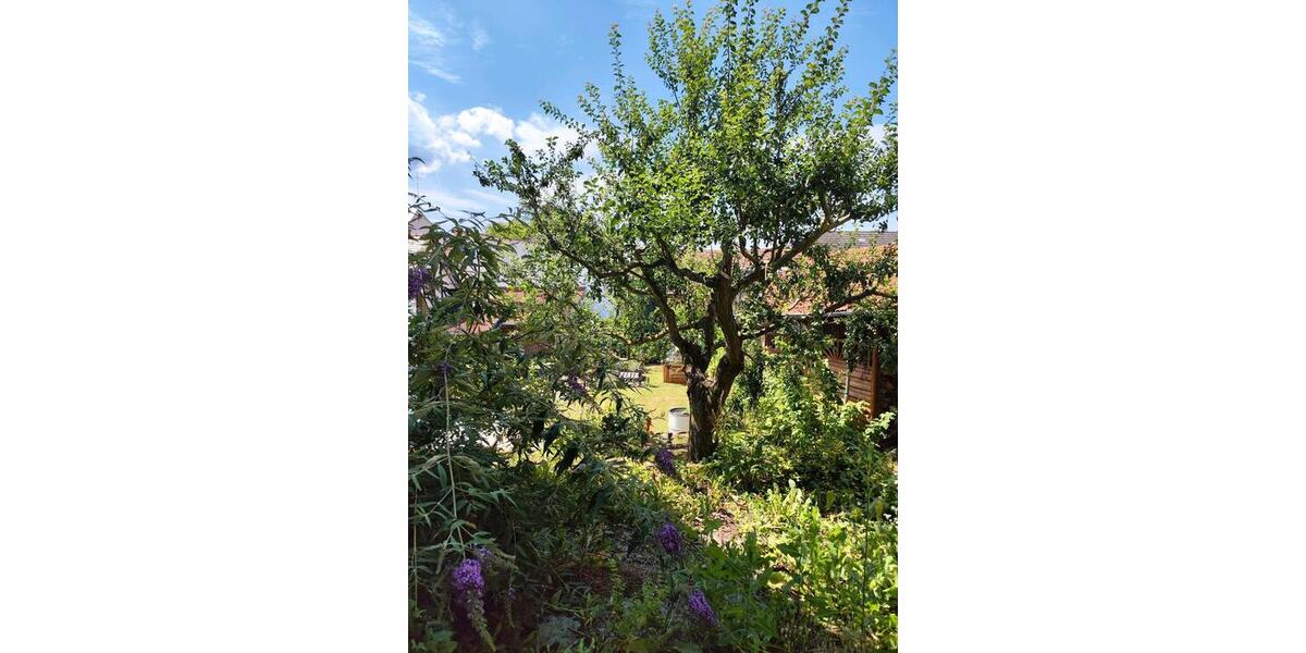 Einfamilienhaus Otzberg - 4 Zimmer, 101 m&sup2;, 349.000&euro; | Angebot:21546034