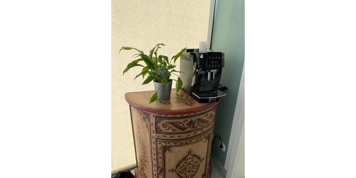 Bungalow Aschaffenburg Damm - 1 Zimmer, 38 m&sup2;, 225.000&euro; | Angebot:26063750