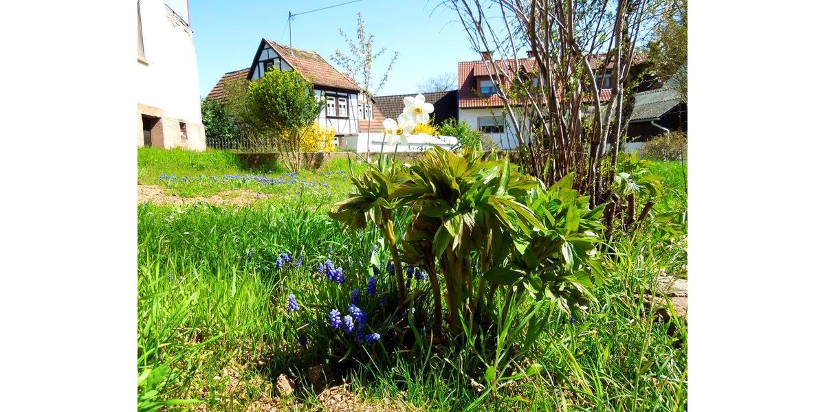 Einfamilienhaus Schollbrunn Schreckemühle - 69.800&euro; | Angebot:26122859