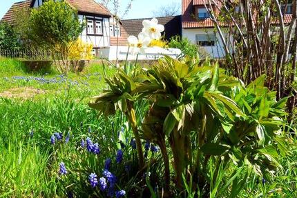 Haus Schollbrunn Schreckemühle - 69.800&euro; | Angebot:26122859