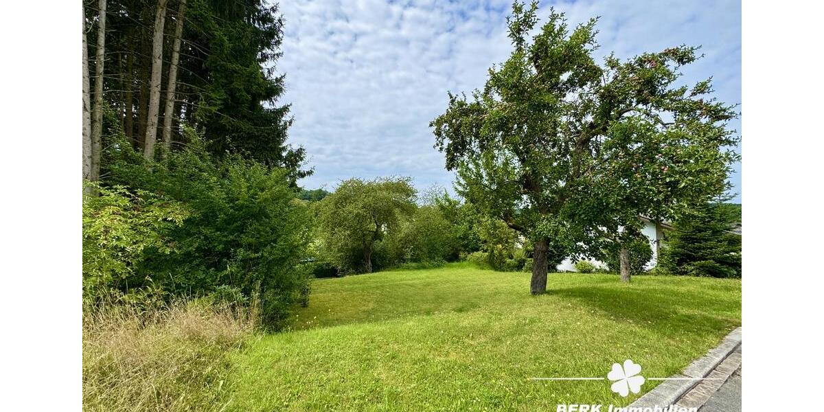 Grundstück Freudenberg - 50.000&euro; | Angebot:22041156