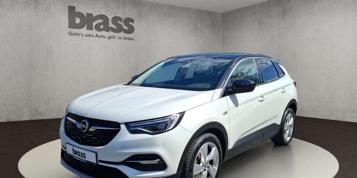 Opel Grandland X 90.000 km 14.950 &euro; Alzenau 63755