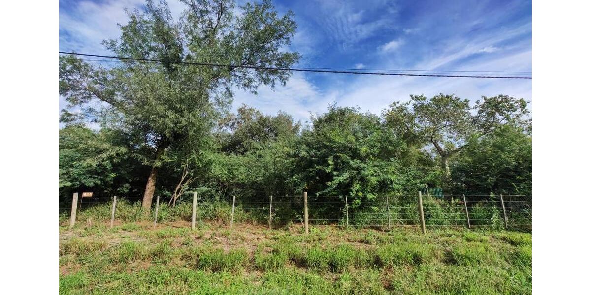 Bungalow Otzberg - 3 Zimmer, 45 m&sup2;, 80.000&euro; | Angebot:26305101