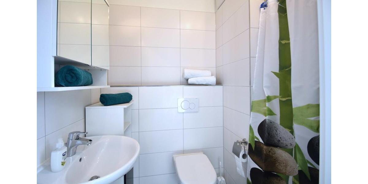 Etagenwohnung Obernburg am Main - 1 Zimmer, 36 m&sup2;, 895&euro; | Angebot:19053906