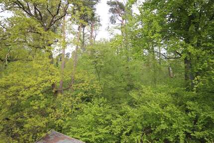 Wohnung Heusenstamm - 3 Zimmer, 66 m&sup2;, 785&euro; | Angebot:26065732