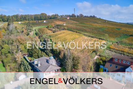 Haus Groß-Umstadt Umstadt - 8 Zimmer, 408 m&sup2;, 1.295.000&euro; | Angebot:25510625