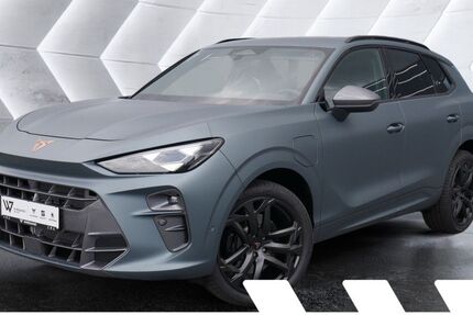 Cupra Terramar 17.500 km 47.629 &euro; Gelnhausen 63571