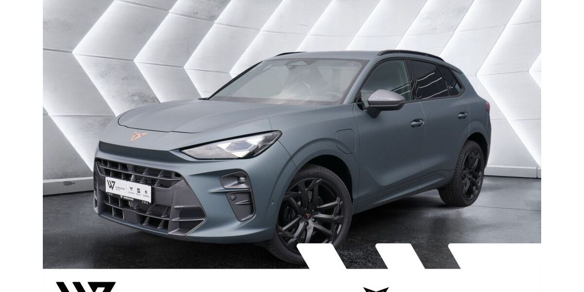 Cupra Terramar 4.500 km 47.629 &euro; Gelnhausen 63571