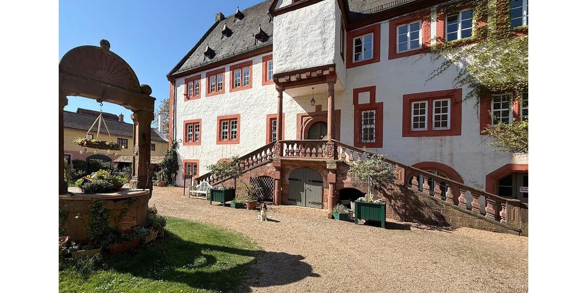 Gewerbeobjekt Klingenberg am Main - 1.456&euro; | Angebot:21930410