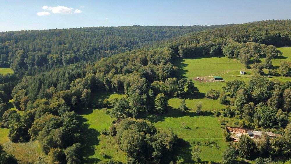 Grundstück Flörsbachtal Flörsbach - 65.000&euro; | Angebot:25799714