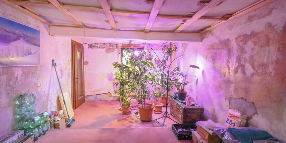 Einfamilienhaus Münster - 7 Zimmer, 164 m&sup2;, 249.000&euro; | Angebot:26080527