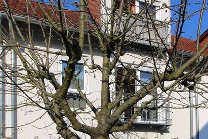 Haus Groß-Umstadt Umstadt - 5 Zimmer, 117 m&sup2;, 399.000&euro; | Angebot:26160833