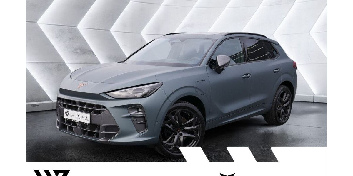 Cupra Terramar 11.173 km 47.620 &euro; Gelnhausen 63571