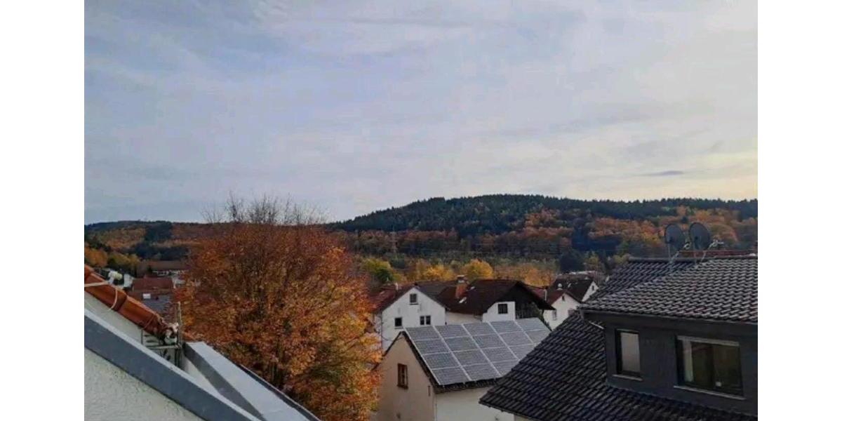 Dachgeschoßwohnung Gründau - 2 Zimmer, 72 m&sup2;, 169.000&euro; | Angebot:26990209