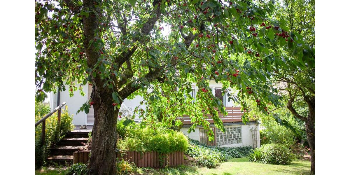 Einfamilienhaus Linsengericht - 7 Zimmer, 153 m&sup2;, 335.000&euro; | Angebot:24941348