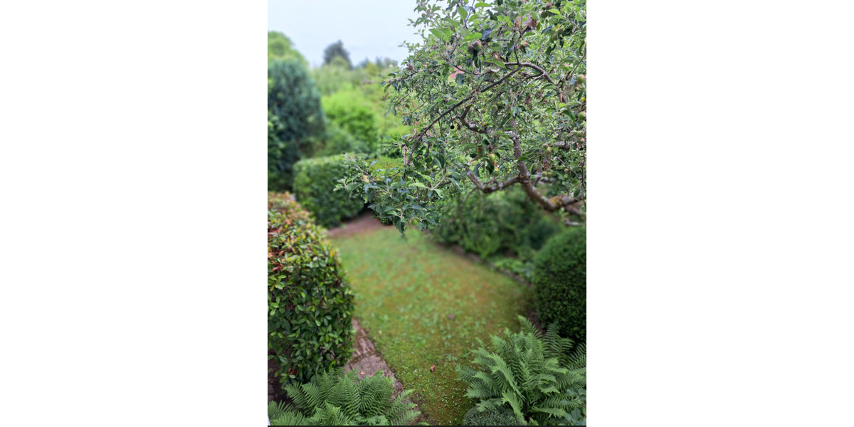 Einfamilienhaus Dieburg - 6 Zimmer, 176 m&sup2;, 1.950&euro; | Angebot:25740760