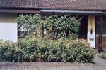 Einfamilienhaus Obernburg am Main - 5 Zimmer, 138 m&sup2;, 350.000&euro; | Angebot:27086172